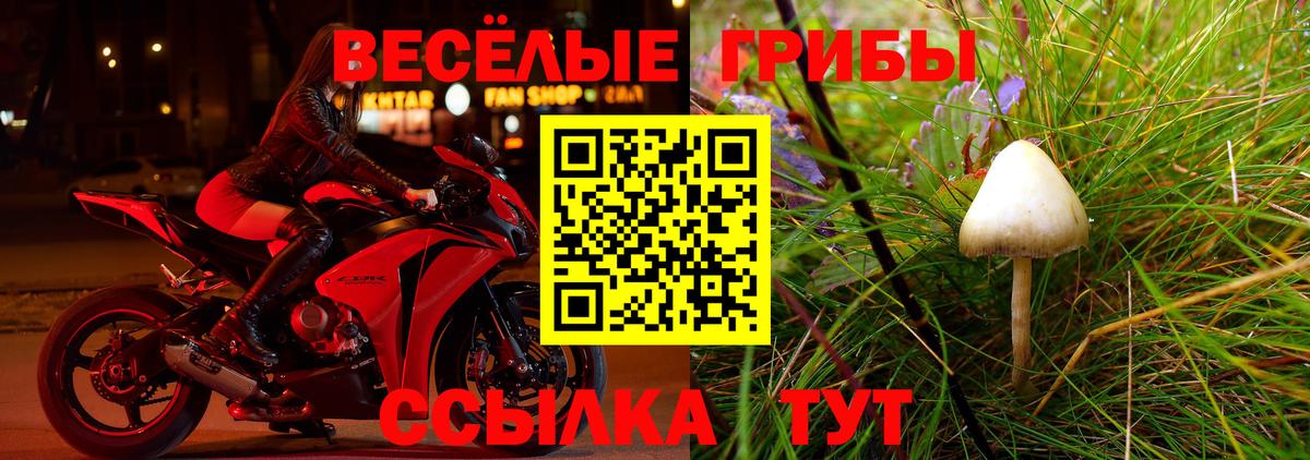 Галлюциногенные грибы GOLDEN TEACHER Гусиноозёрск