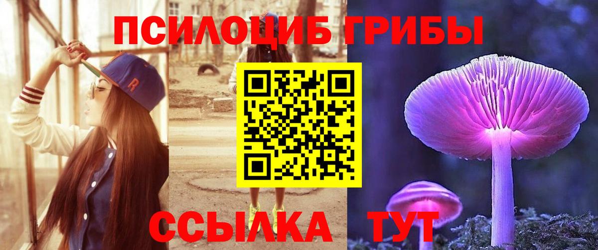Псилоцибиновые грибы Psilocybine cubensis  Вход с VPN  Гусиноозёрск 